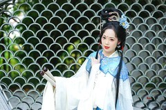 【扇窗知意】---芝枝