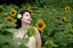 《qxy葵花人像》06