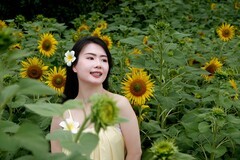 《qxy葵花人像》06