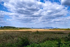 旅游记录 ：河北 · 秦皇岛 · 鸽子窝公园