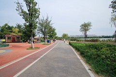 秋日——华山公园杂拍（二）