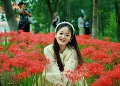 桃子湖的彼岸花中来打卡
