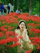 桃子湖的彼岸花中来打卡