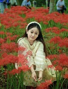 桃子湖的彼岸花中来打卡