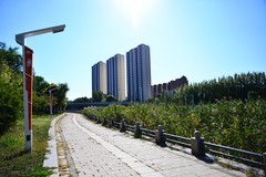 秋高气爽踏秋游