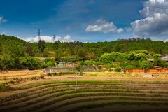 香格里拉到西双版纳沿途风景42