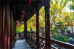 2025年第0856贴-上海豫园纪实旅拍（1212）