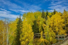 北疆禾木村风景38