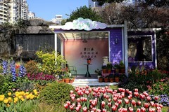 马鞍池公园郁金香花展 (10)