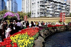 马鞍池公园郁金香花展 (10)