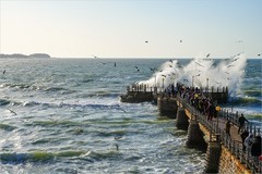 2026年第0195贴 - 威海海滨风光旅拍（0315）