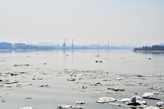 河水荡漾迎春天大辽河的春天真的来到了