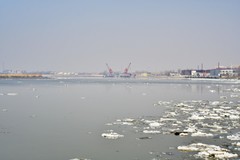 河水荡漾迎春天大辽河的春天真的来到了