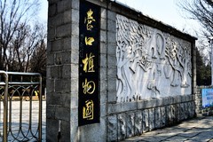 春天迈着婆娑的脚步缓缓而来