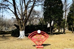 春天迈着婆娑的脚步缓缓而来