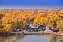 外出随拍（698）.