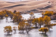 外出随拍（698）.