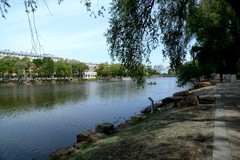 初夏——南湖公园（5）