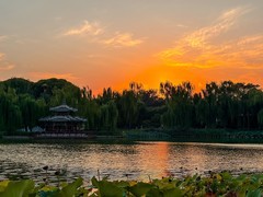 2026年- 陶然亭落日夕阳纪实-0619