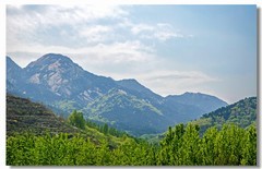 行走蒙阴（十）