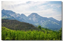 行走蒙阴（十）