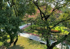 海珠区的会展公园。