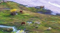 金秋乌兰布统-天太永（10）