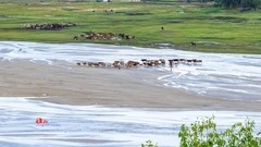 金秋乌兰布统-天太永（10）