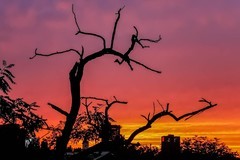 【镜头里】第1620号：这么近那么美随手拍河北·唐山篇（一）