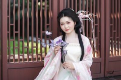 【朱窗凝黛·蝶绕佳人】---小刘