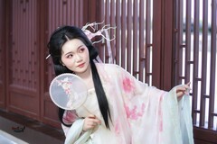 【朱窗凝黛·蝶绕佳人】---小刘