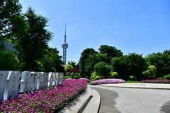 酷暑下闲游北外滩