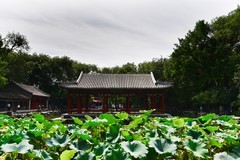 恭王府  三