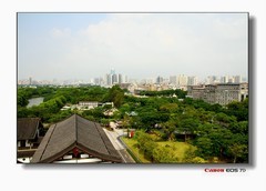 园内楼顶景观。
