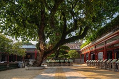 岭南园林古韵