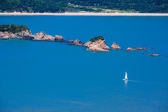 外出随拍（565）.