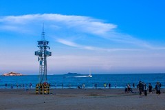 外出随拍（565）.