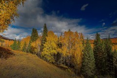 北疆禾木村风景39