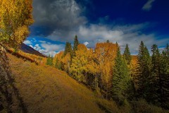 北疆禾木村风景39