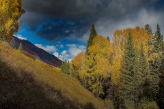 北疆禾木村风景39