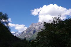 川西--四姑娘山风景区游记--3