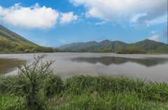 神农架大九湖湿地公园