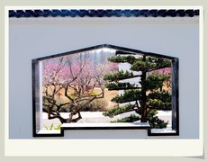 梅园二月，红梅报春。