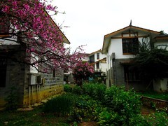 五星村旅游打卡