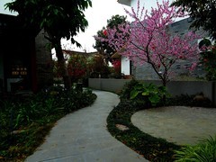 五星村旅游打卡