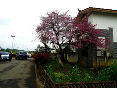 五星村旅游打卡