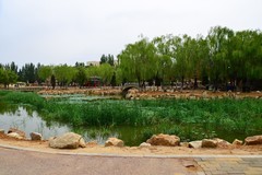 楞严寺公园小景怡人（D610）