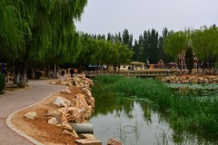 楞严寺公园小景怡人（D610）