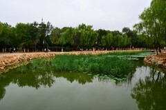 楞严寺公园小景怡人（D610）