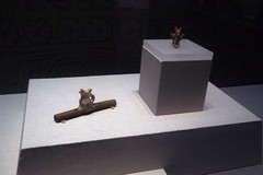 《丛林圣殿—墨西哥玛雅文明展》下